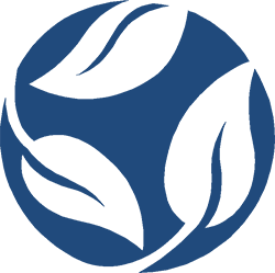 RSI SANE Logo